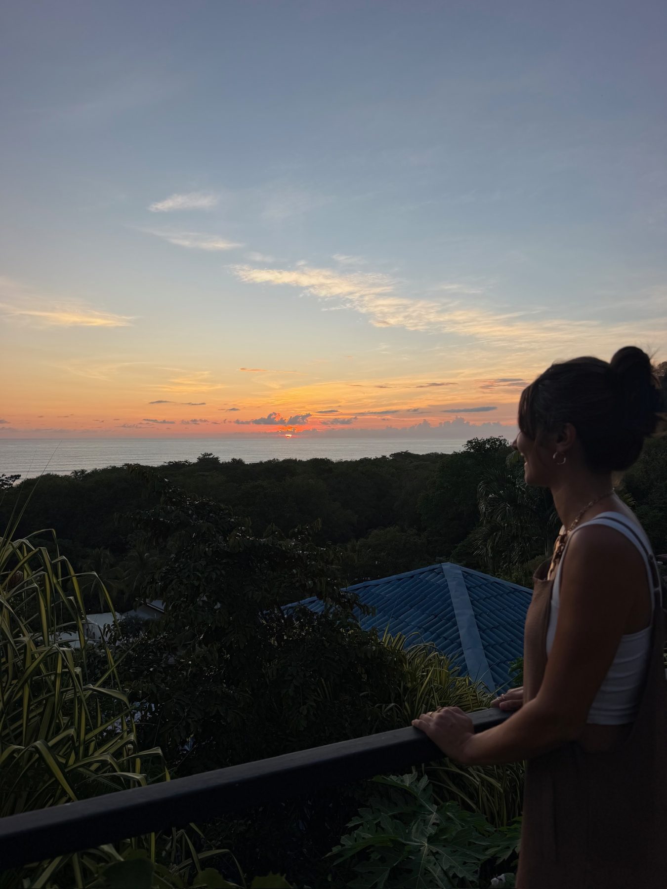 Coucher de soleil sur la jungle et l'océan